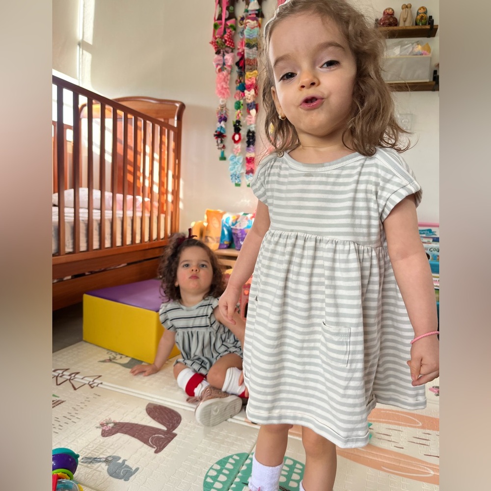 Lia Gray Stripes Dress